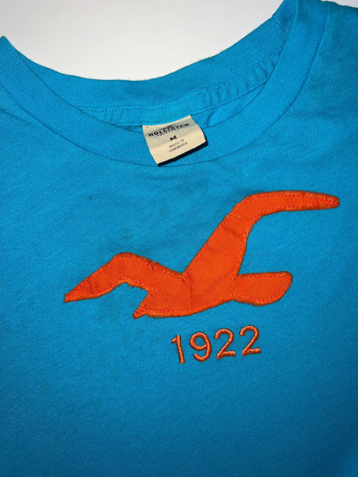 1922 Hollister top